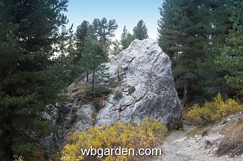 wbgarden alps 75.JPG